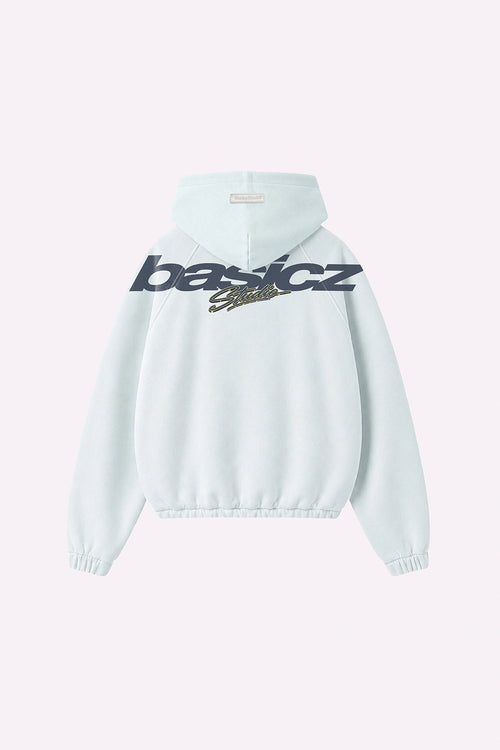 BASICZ SIGN HOODIE SAGE GREEN