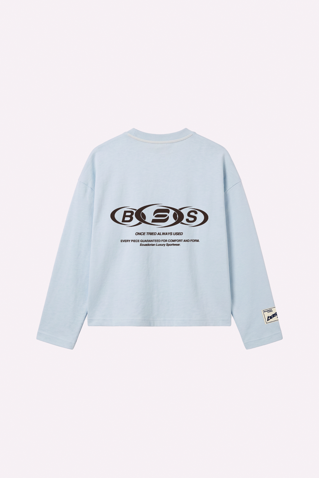 Core Longsleeve — Ice — espalda