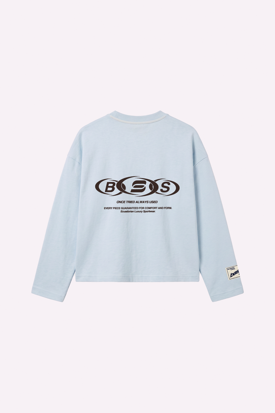 Core Longsleeve — Ice — espalda