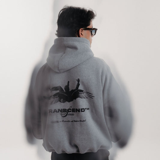 HIDDEN x BASICZ Gray Hoodie